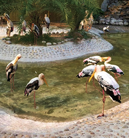 Top place Chattbir Zoo